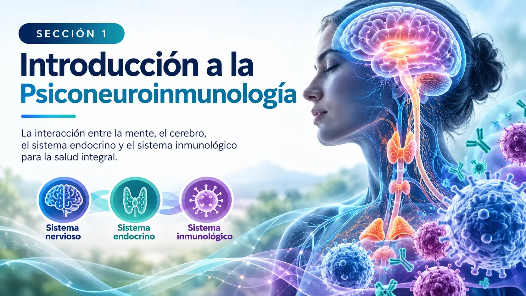 Sección 1: El Sistema Inmunológico y su Relación con las Emociones