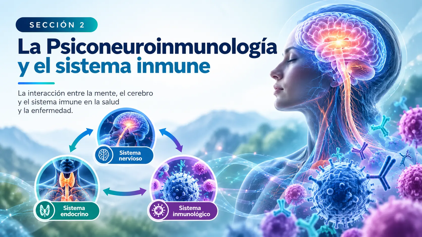 Sección 2: La Psiconeuroinmunología y el sistema inmune