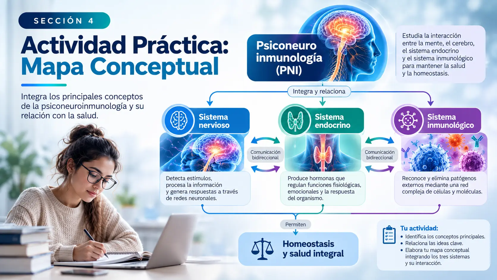 Sección 4: Actividad Práctica: Mapa Conceptual